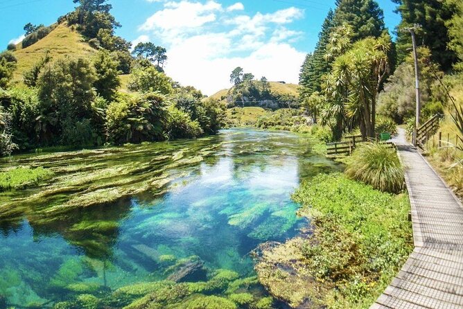 Hobbiton Movie Set Tour to Blue Springs and Mineral Spa - Visiting Blue Springs