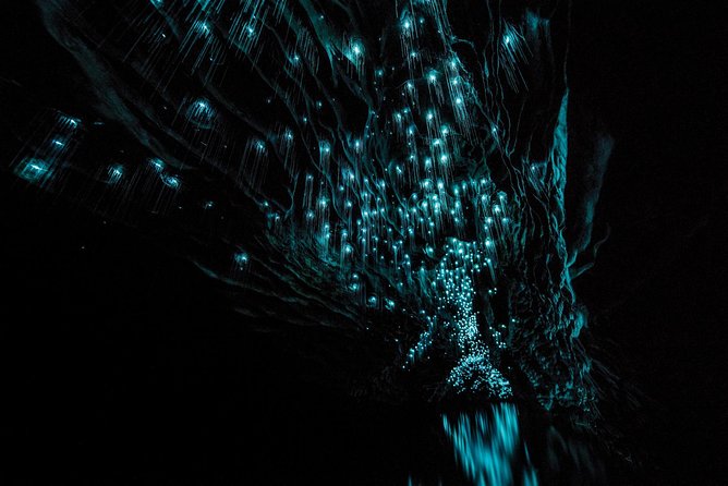 Hobbiton & Waitomo Caves Guided Tour From Auckland With Lunch - Waitomo Glowworm Caves