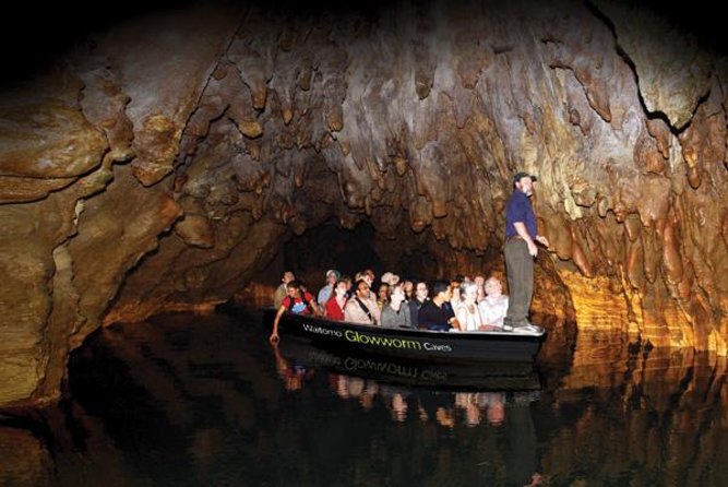 Hobbiton & Waitomo Caves Guided Tour From Auckland With Lunch - Transportation and Amenities