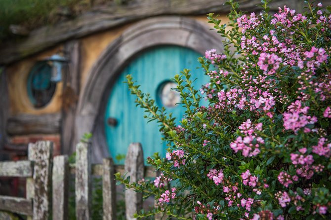 Hobbiton & Waitomo Small Group Tour - EX Auckland - Guest Feedback Highlights