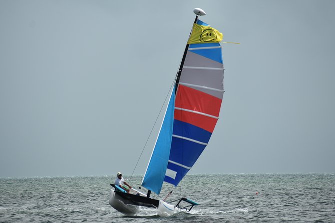Hobie Cat Sailing With Miami Watersports - Participation Requirements