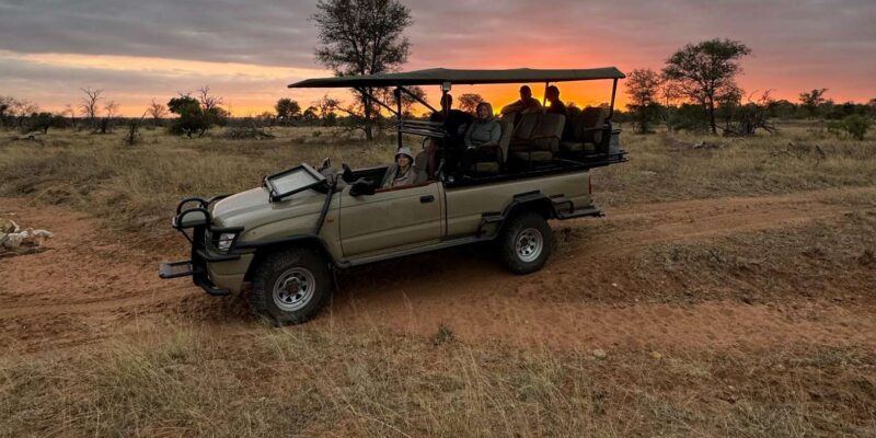 Hoedspruit: Dinner in the Bush & Safari Game Drive - Booking and Reservations