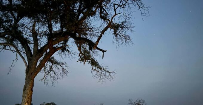Hoedspruit: Dinner in the Bush & Safari Game Drive - Customer Ratings and Reviews
