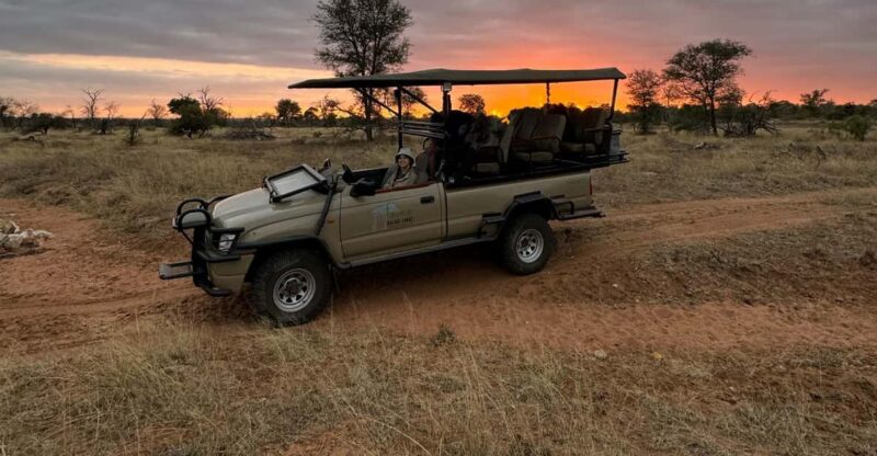 Hoedspruit: Sunrise Safari in Greater Kruger Private Reserve - Activity Overview