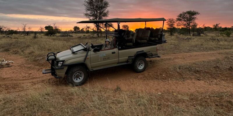 Hoedspruit: Sunrise Safari in Greater Kruger Private Reserve - Meeting Point and Logistics