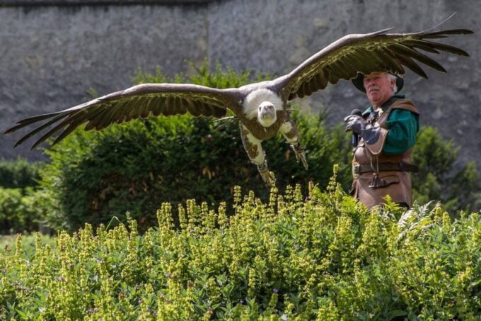 Hohenwerfen Castle Entrance Ticket - Booking and Cancellation Policy