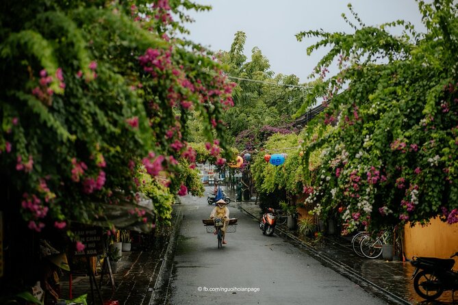 Hoi An Ancient Town Guided Walking Tour - Schedule and Timing