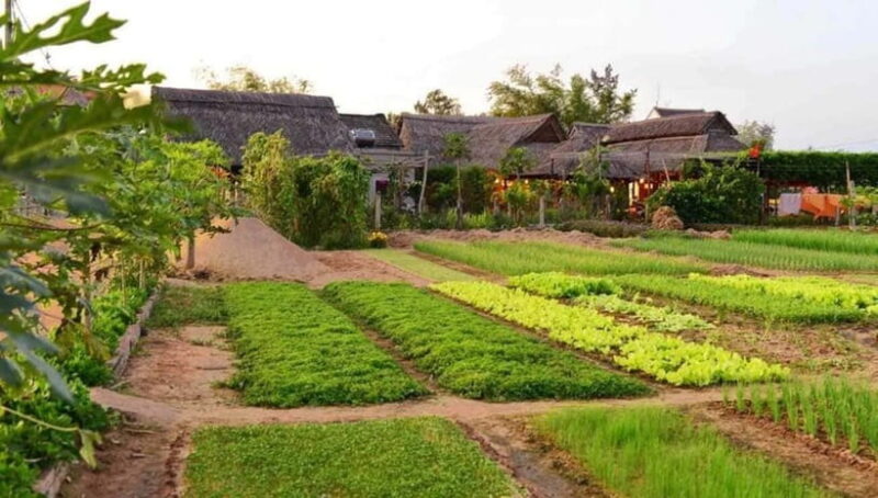 Hoi An: Basket Boat and Farming and Cooking Class in Tra Que - Cooking Class With Local Chef