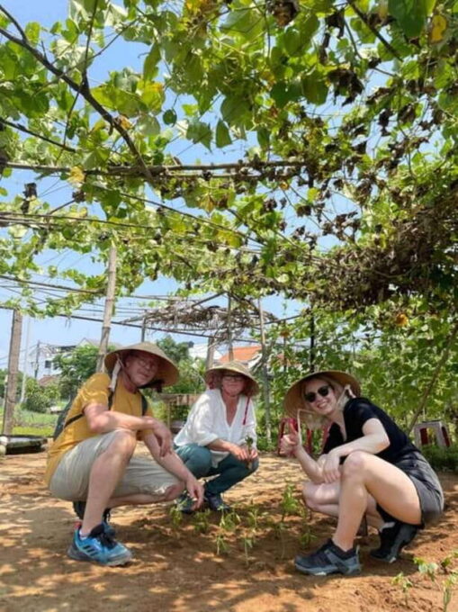Hoi An: Basket Boat and Farming and Cooking Class in Tra Que - Culinary Highlights: 4 Vietnamese Dishes