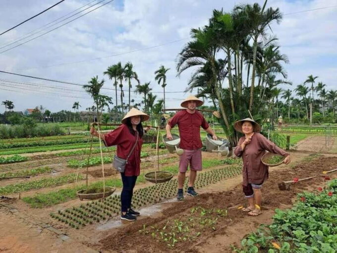 Hoi An: Basket Boat and Farming and Cooking Class in Tra Que - What to Expect and Important Information