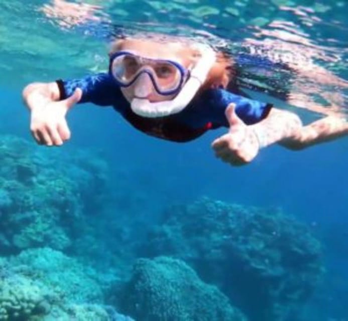 Hoi An: Cham Island Discover Scuba Dive for Beginner 1-Day - Itinerary Details