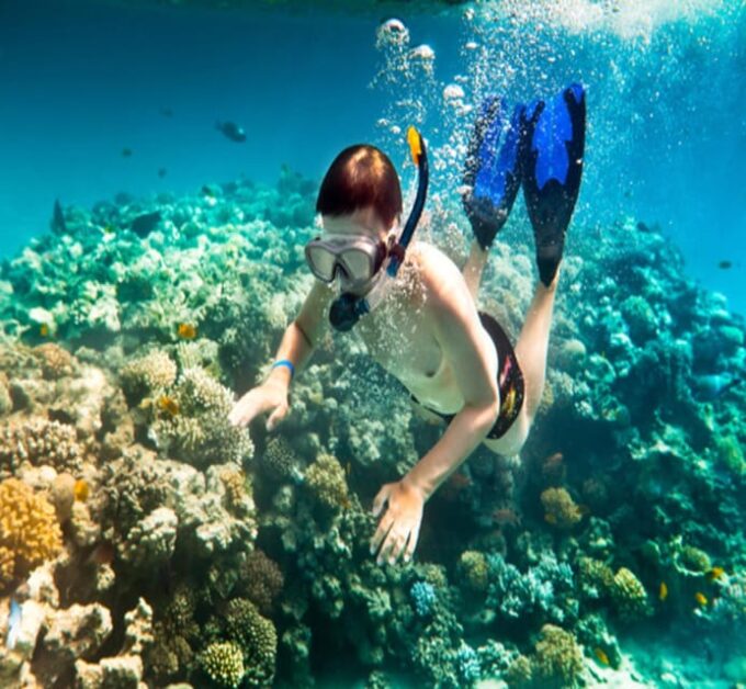 Hoi An: Cham Island Discover Scuba Dive for Beginner 1-Day - Booking and Availability