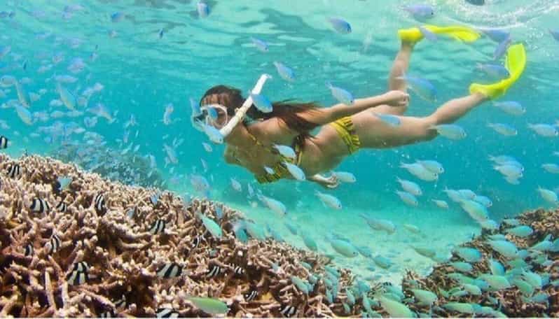 Hoi An: Cham Islands Snorkeling Trip by Speedboat With Lunch - Key Points