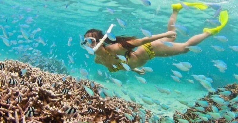 Hoi An: Cham Islands Snorkeling Trip by Speedboat With Lunch - Itinerary and Activities