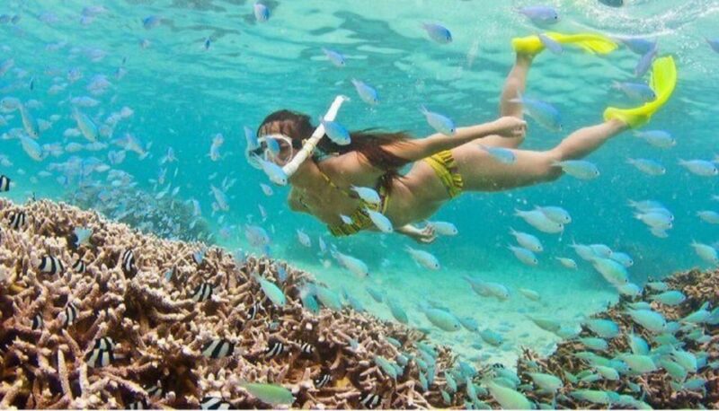 Hoi An: Cham Islands Snorkeling Trip by Speedboat With Lunch - Guided Island Highlights Tour