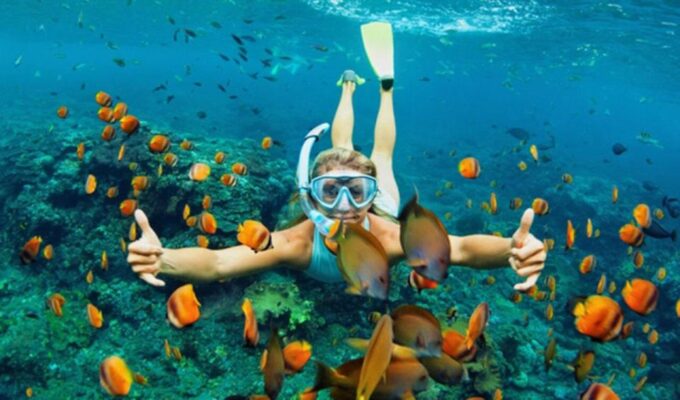 Hoi An: Cham Islands Snorkeling Trip by Speedboat With Lunch - Included Activities