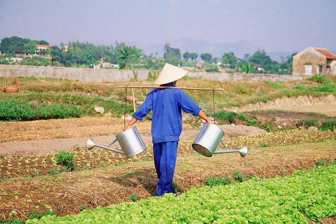 Hoi An Cooking Class - Key Points
