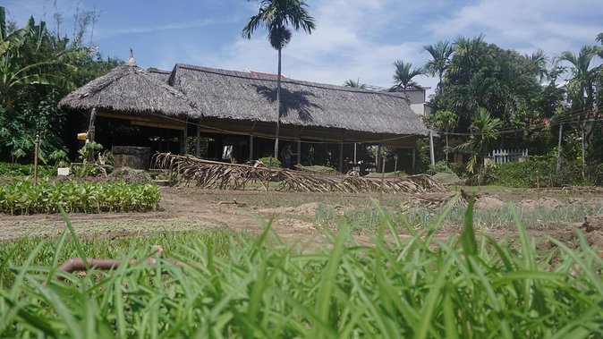 Hoi An Cooking Class - Included in the Tour