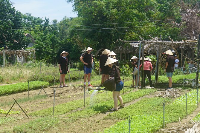 Hoi An Cooking Class - Pricing and Cancellation
