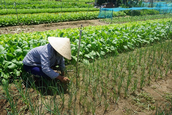 Hoi An Cooking Class - Dietary Requirements