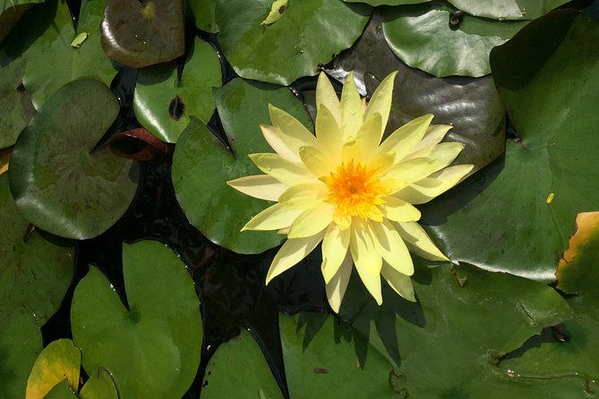 Hoi an Countryside Adventure by Jeep - Tour Overview