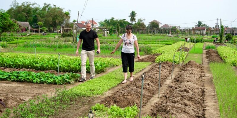 Hoi An Countryside Bicycle Tour - Farming - Cooking Class - Dietary Accommodations