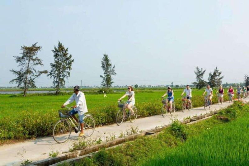 Hoi An: Countryside Bicycle Tour With Farm, Basket Boat Ride - Key Points