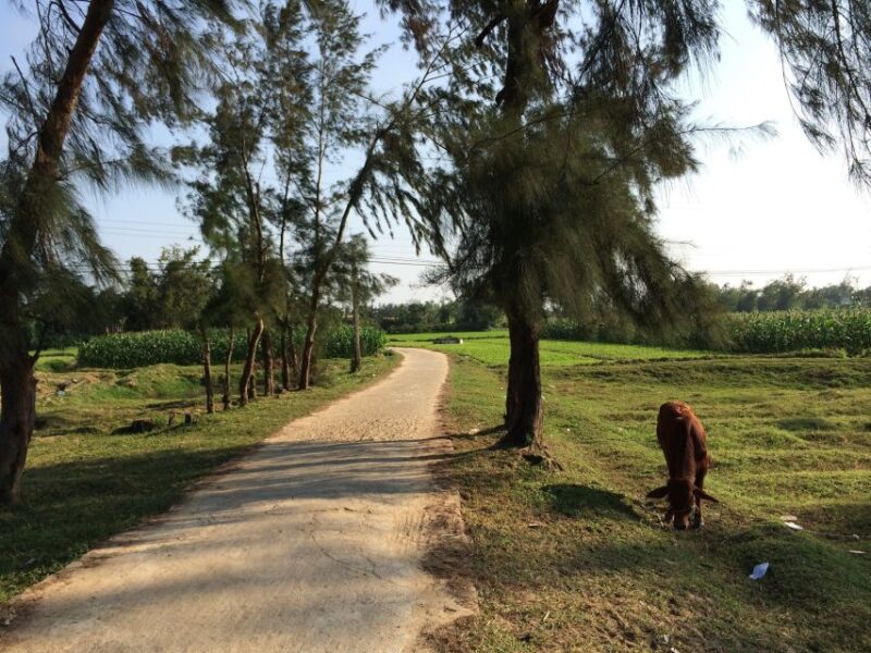 Hoi an Countryside Bike Tour to Kim Bong Village - Meeting Point and Logistics