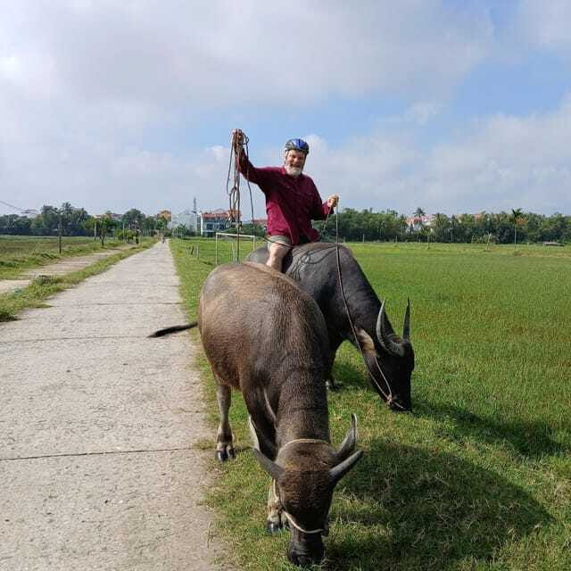 Hoi An: Countryside Biking and Food Tour - Exploring the Bay Mau Coconut Forest