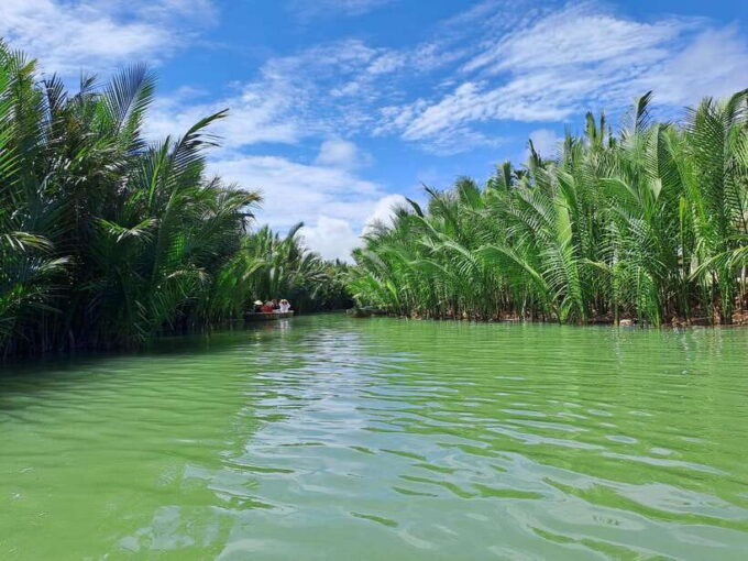 Hoi an Countryside: Biking, Basket Boat, Herb Gardens, Rice - Optional Activity: Riding a Water Buffalo in the Rice Paddy