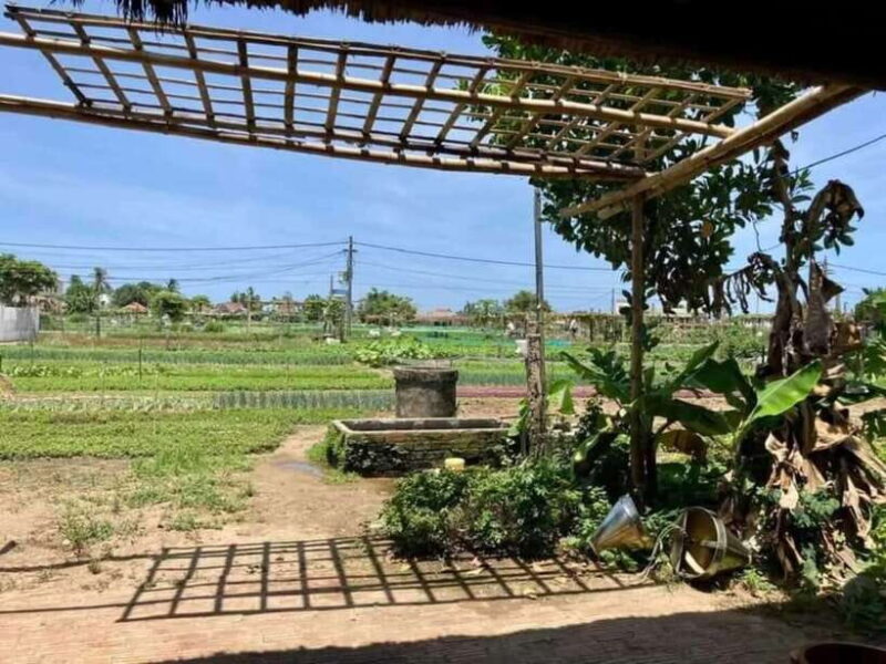 Hoi An: Countryside Biking- Cooking Class in Tra Que Village - Who Is This Tour Not Suitable For?