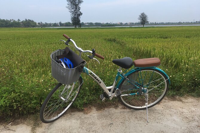 Hoi an Countryside Biking Tour and Water Buffalo Riding Experience (4 Hour) - Vegetable Farming With Locals