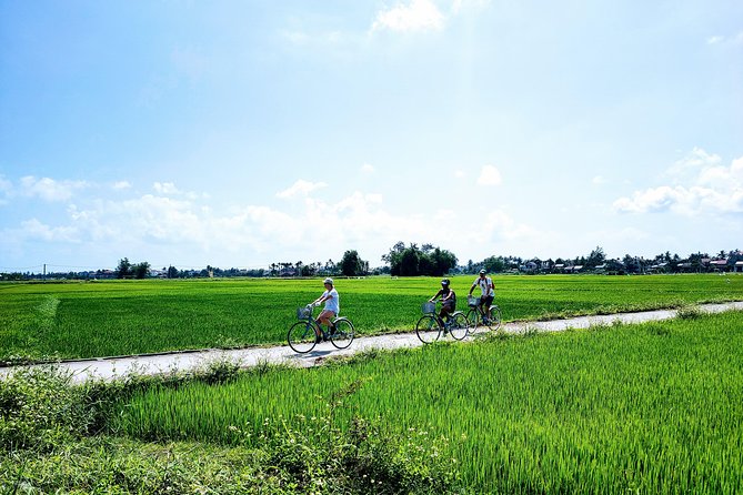 Hoi an Countryside Biking Tour(Vegetable Village -Basket Boat - Fishing Village) - Meeting and Pickup