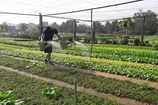 Hoi an Countryside Biking Tour(Vegetable Village -Basket Boat - Fishing Village) - Basket Boat