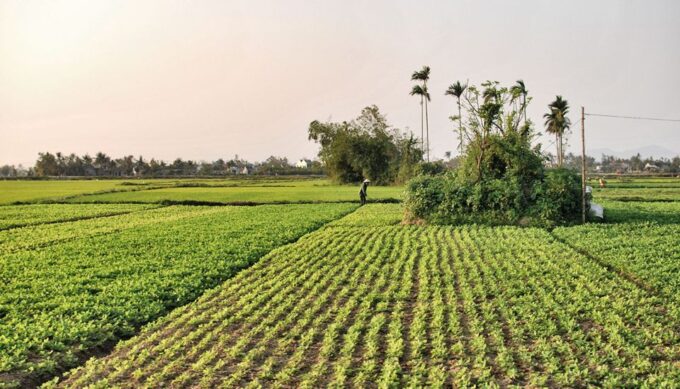 Hoi An Countryside by Electric Scooter - Frequently Asked Questions