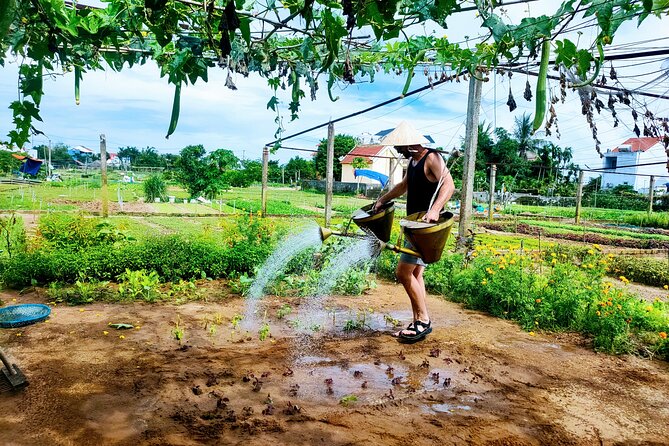 Hoi an Countryside Cycling Tour - Countryside Cycling Tour