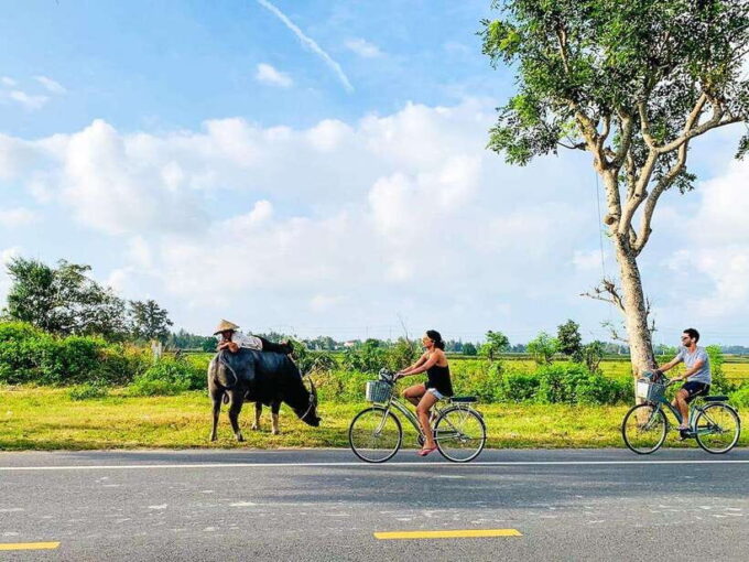 Hoi An: Countryside Cycling Tour With Local Life Insights - Participant Information and Requirements