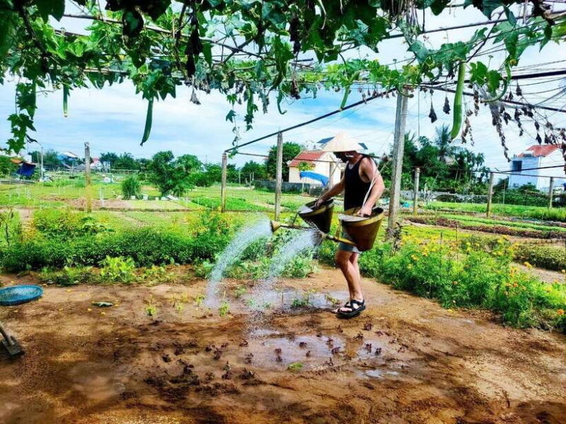 Hoi an Countryside Discovery by Motorbike Tour - Learning to Make Rice Paper