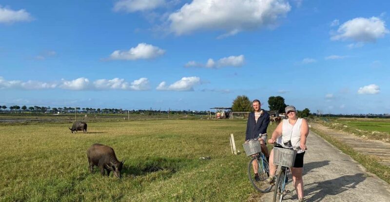 Hoi An: Countryside Discovery Private Tour - Itinerary Highlights
