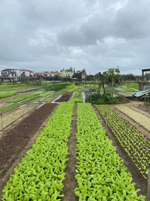 Hoi An: Countryside Discovery Private Tour - Tour Flexibility