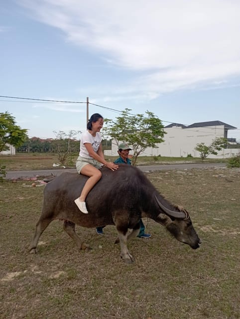 Hoi an Countryside, Lunch, 30 Mins Foot Massage by Bicycle - Reserve Now, Pay Later
