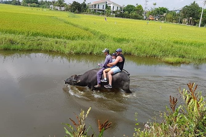 Hoi An Countryside Tour Review - Pickup and Accessibility
