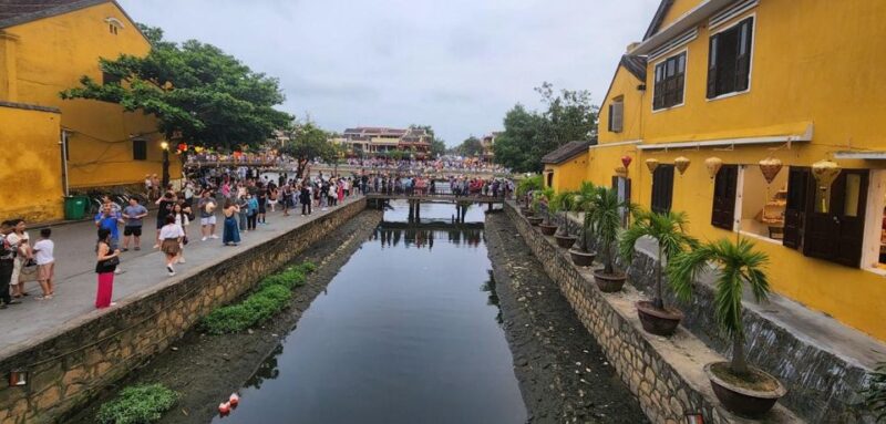 Hoi an Countryside With Basket Boat - Bufflalo Ride- Farming - Basket Boat Ride in Nipa Palm Forest