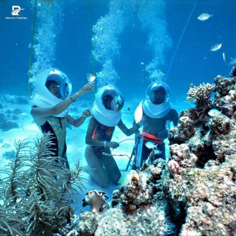 Hoi An: Cu Lao Cham Islands Day Trip With Snorkeling - Highlights and Experiences