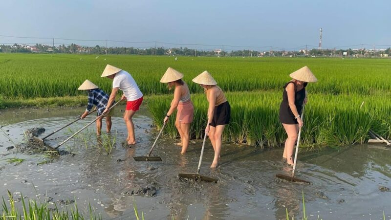 Hoi An: Cycling, Buffalo Riding,Be a Farmer and Fisher Man - Additional Information