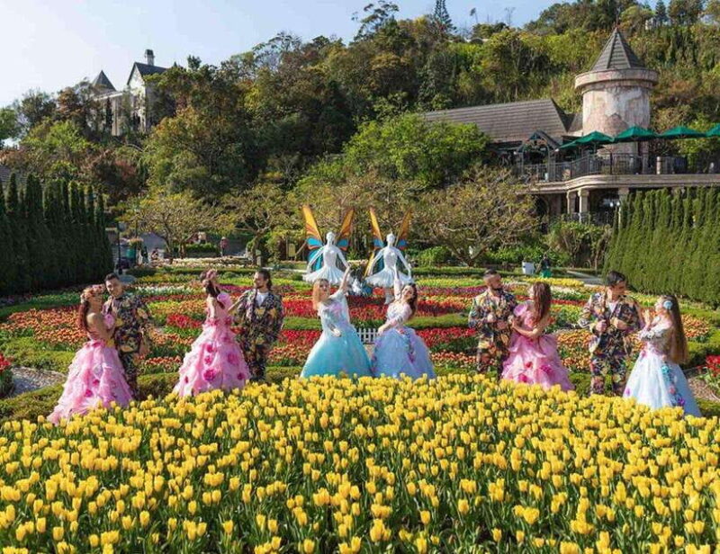 Hoi An/Da Nang: Ba Na Hills and Golden Bridge Afternoon Tour - Important Information
