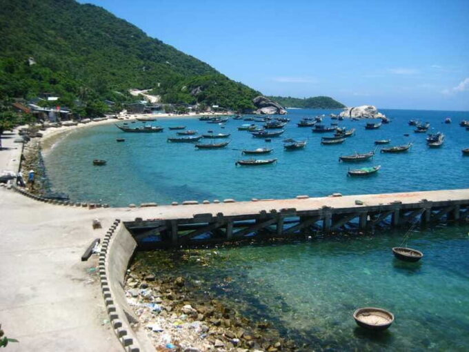 Hoi An/ Da Nang: Cham Island Discovery Tour - Experiencing the Marine Environment