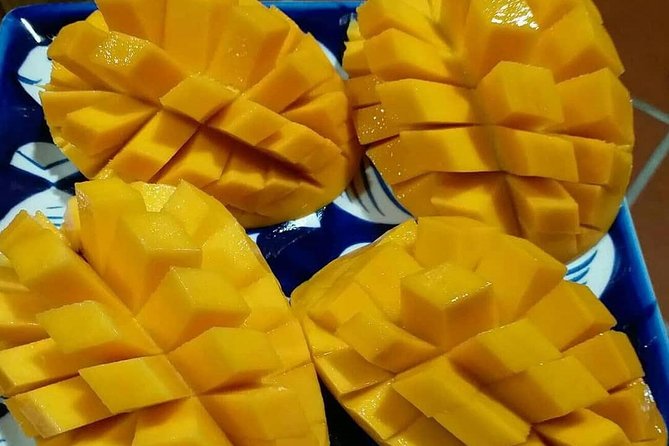 Hoi An/Da Nang: Vegetarian Cooking Class & Basket Boat Ride - Tour Duration and Pickup/Return Times