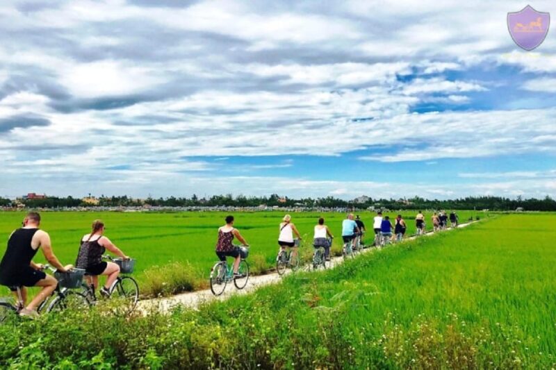 Hoi An Eco Bicycle Tour - Important Information