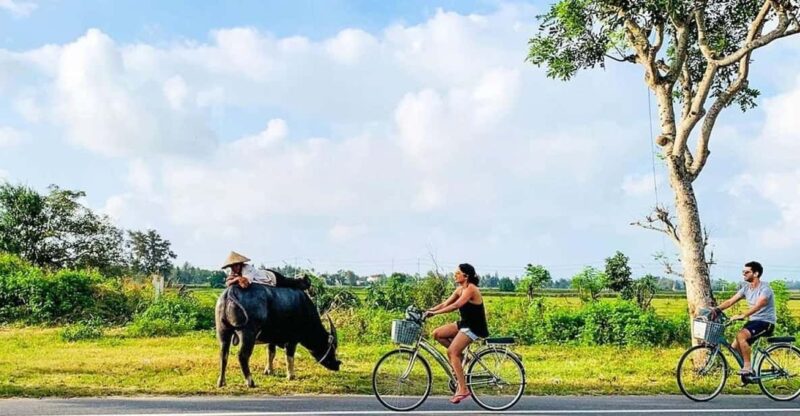 Hoi An Eco Bicycle Tour - Pricing and Inclusions